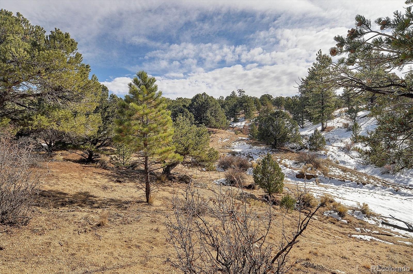 31950 Forest Service Road 376