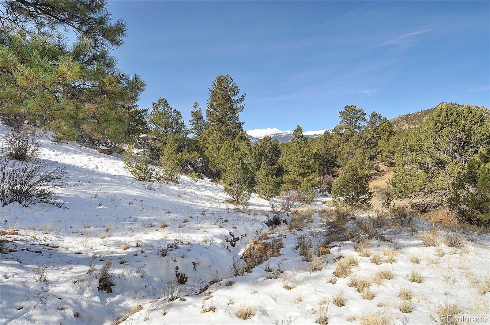 31950 Forest Service Road 376