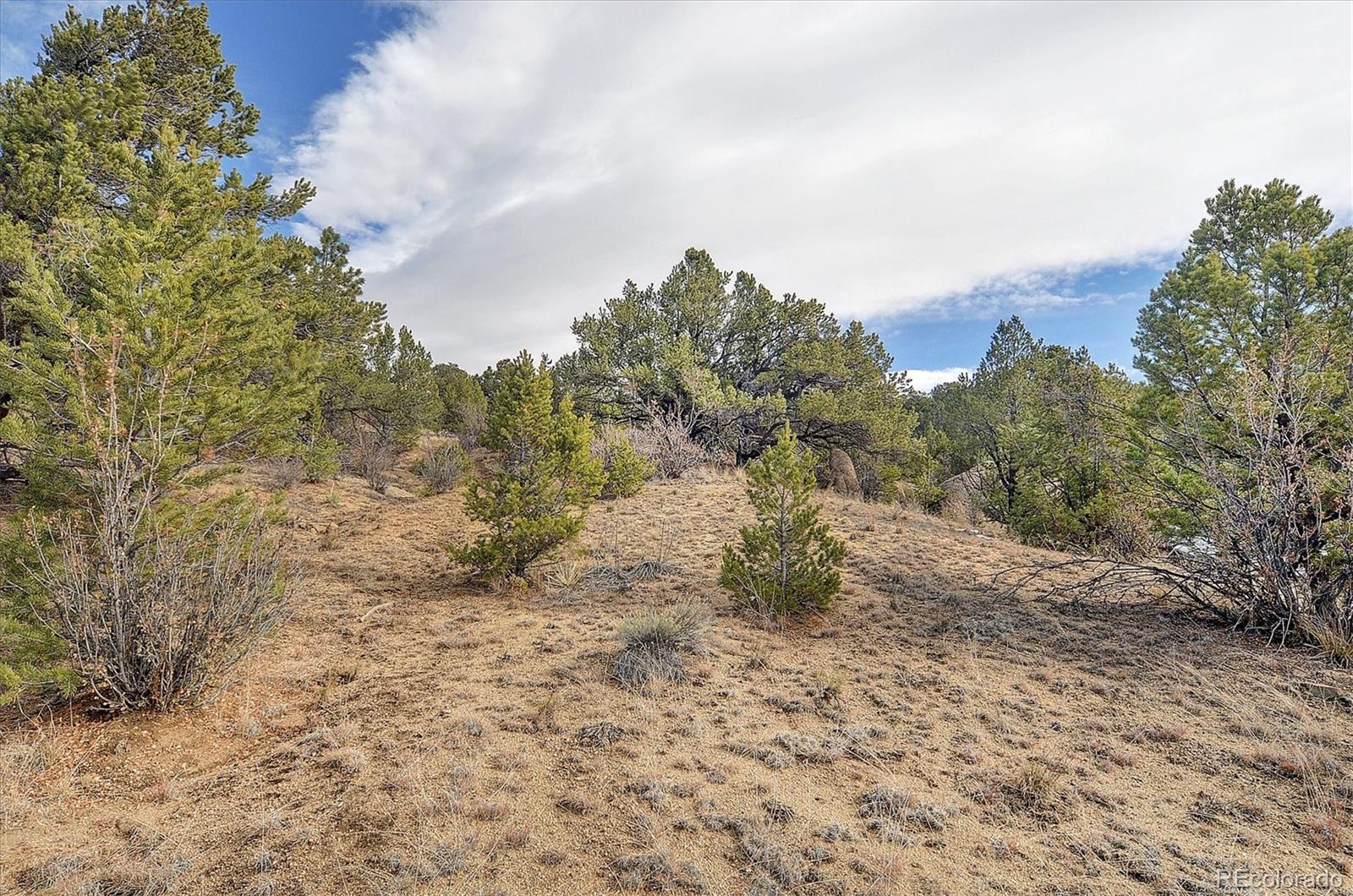 31950 Forest Service Road 376