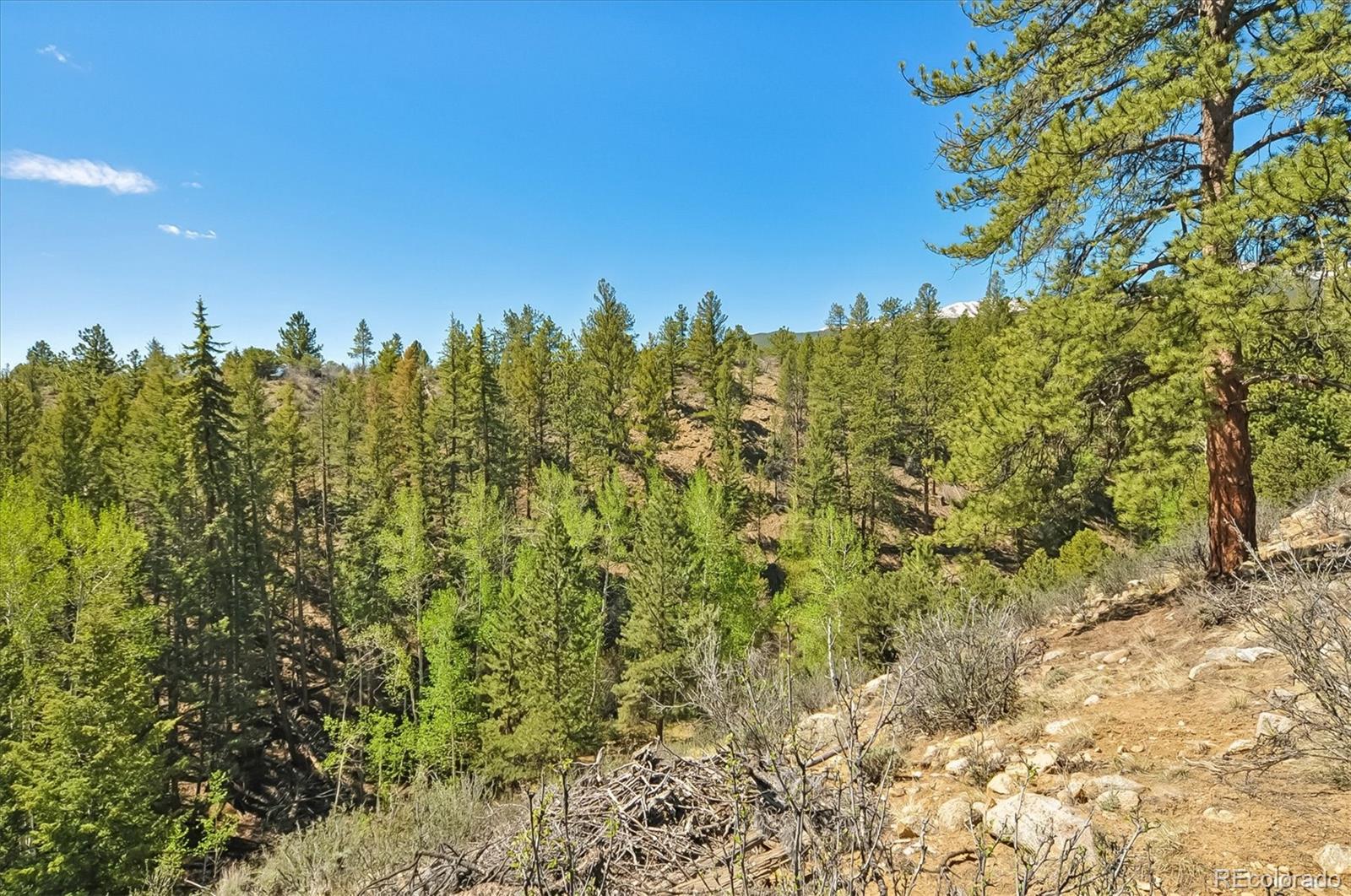 18480 Morrison Creek Circle