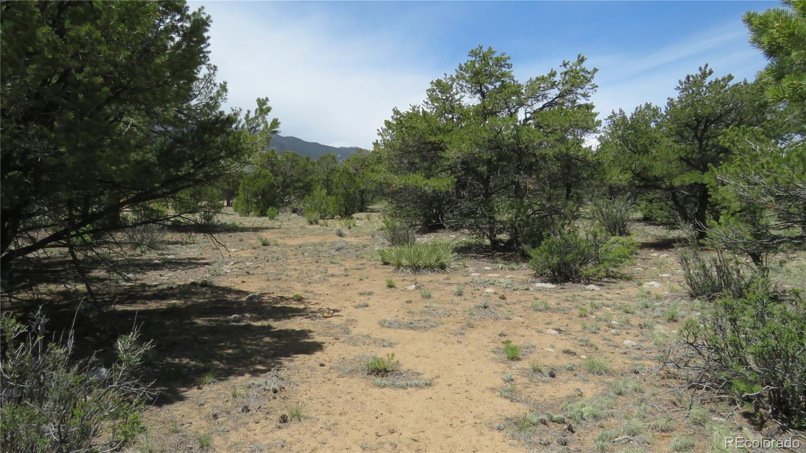 29266 Timber Ridge
