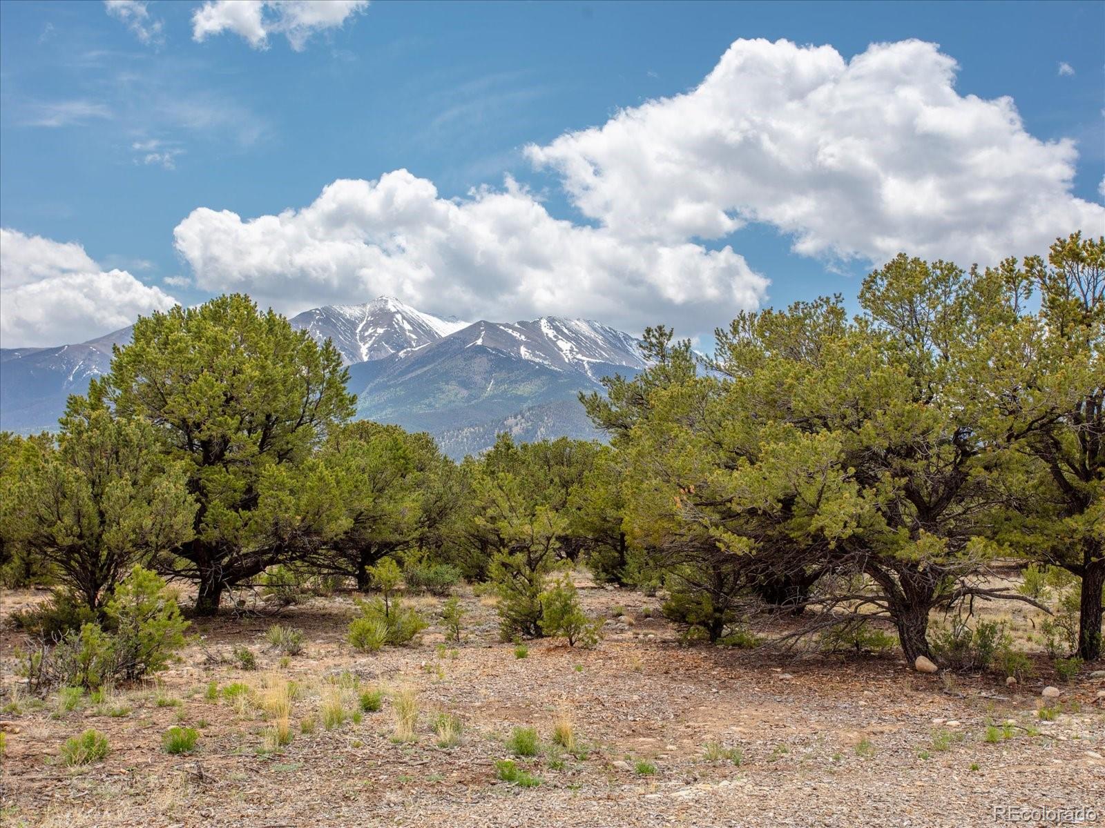 29266 Timber Ridge