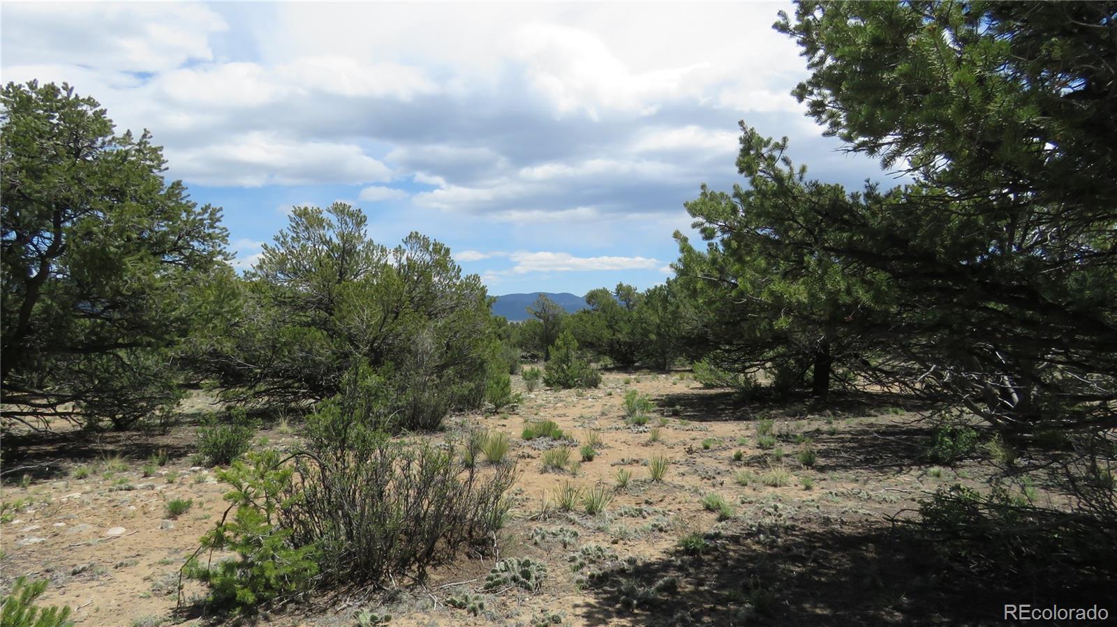 29266 Timber Ridge