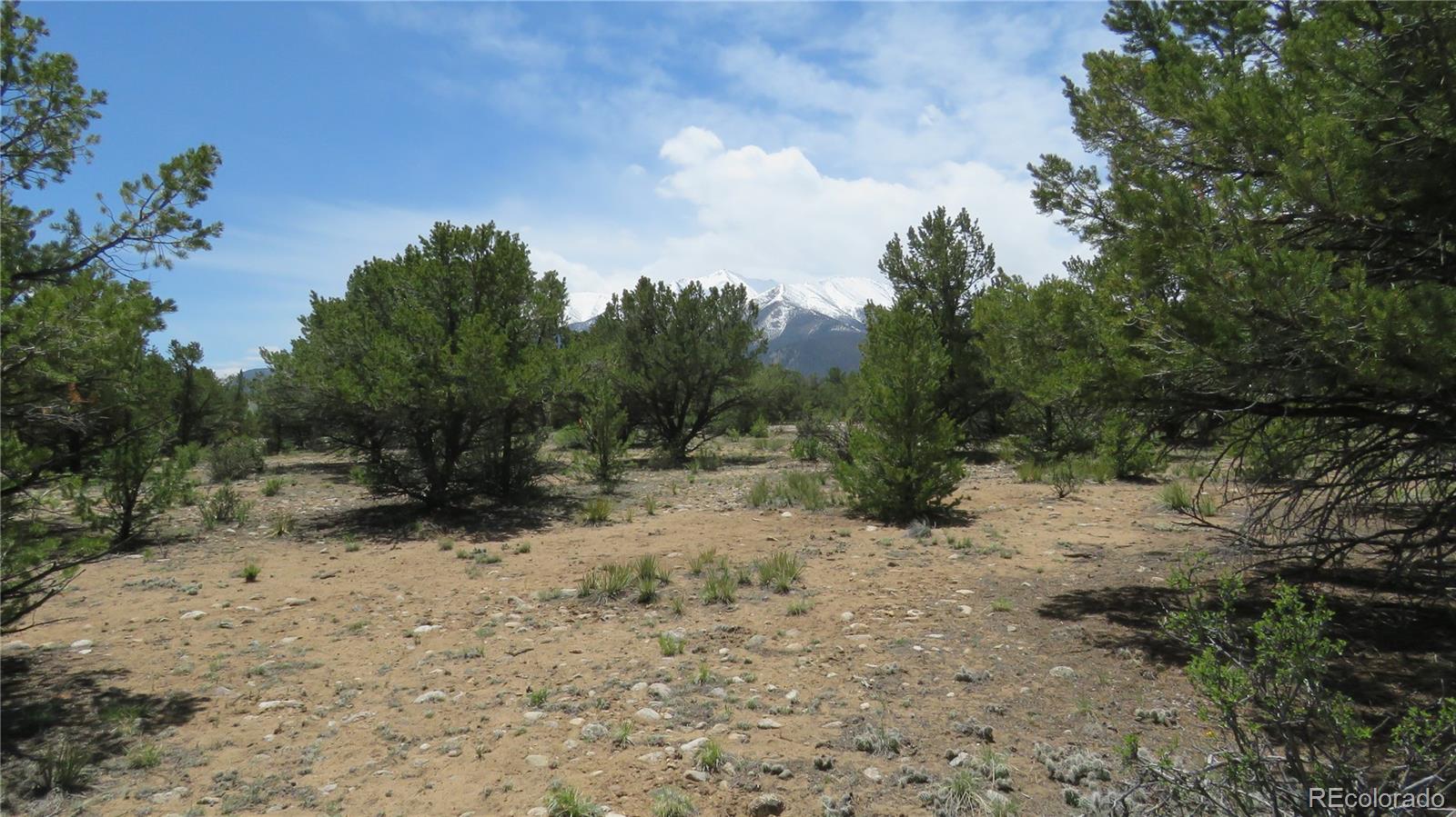 29266 Timber Ridge