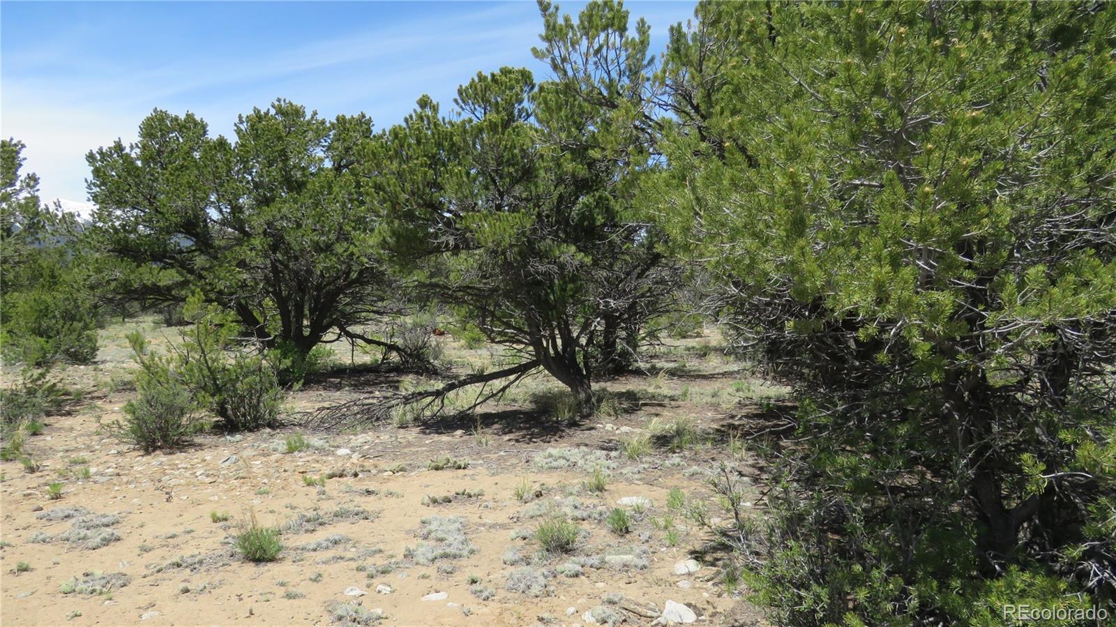 29266 Timber Ridge