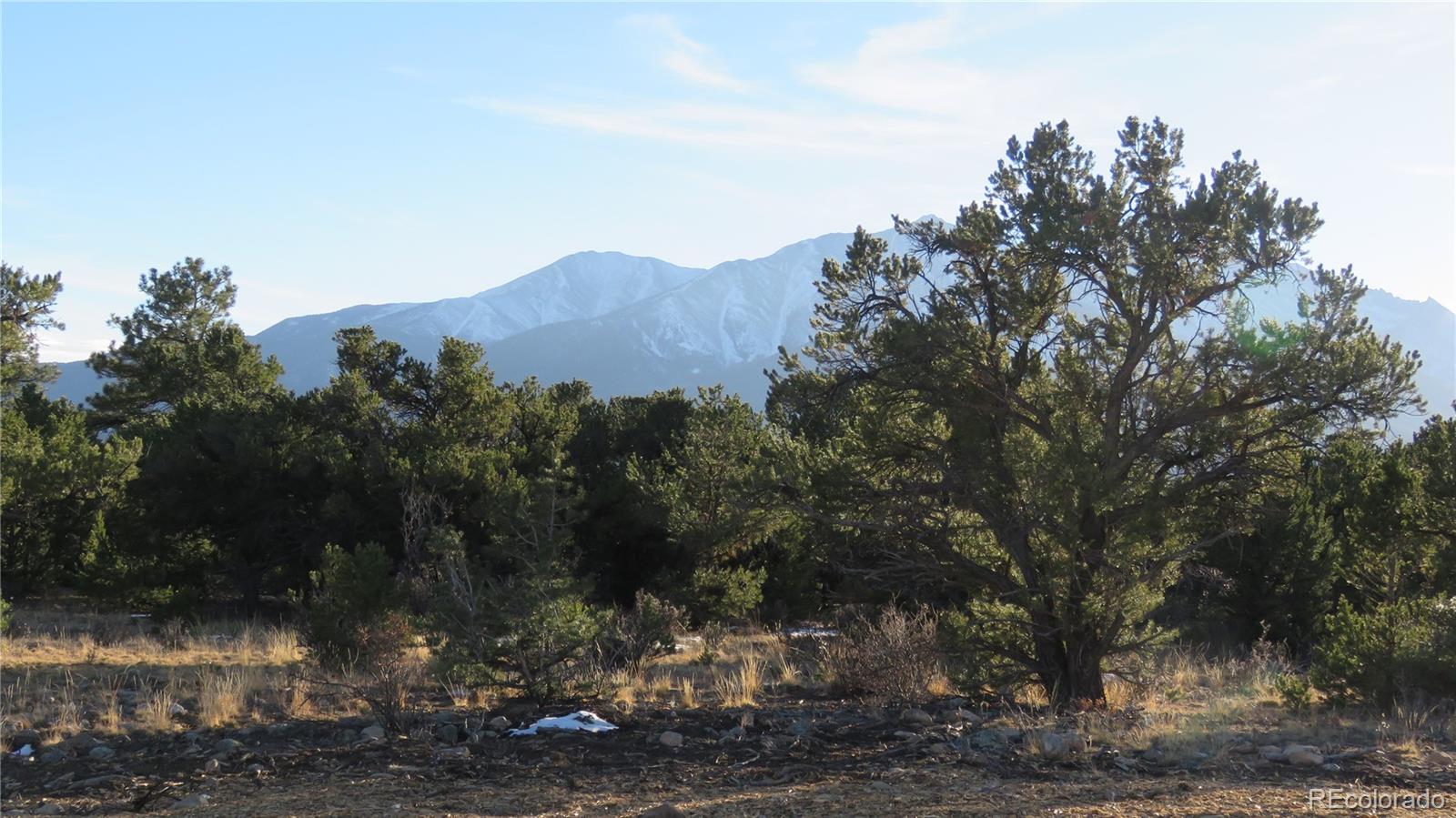 29266 Timber Ridge