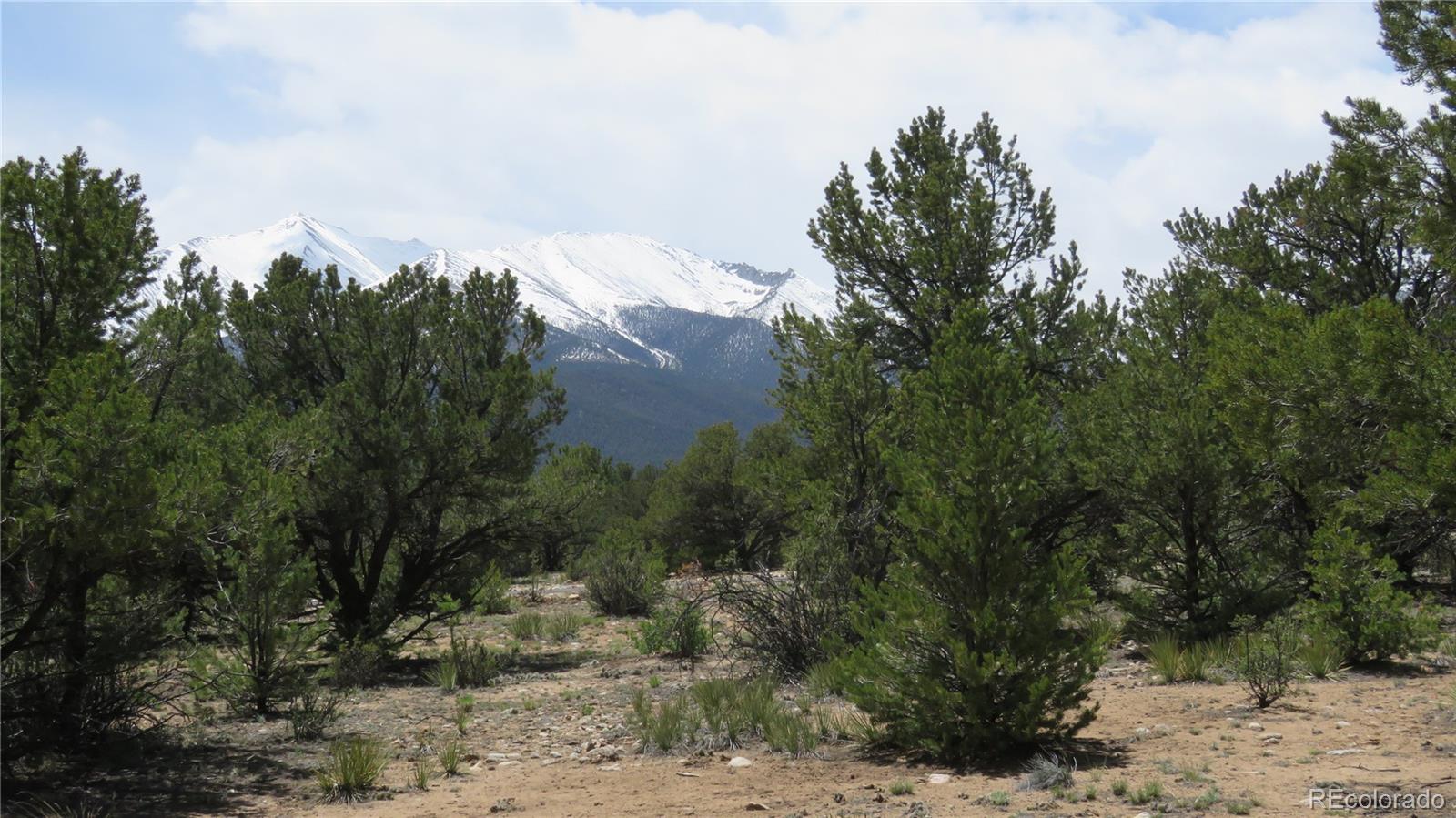 29266 Timber Ridge