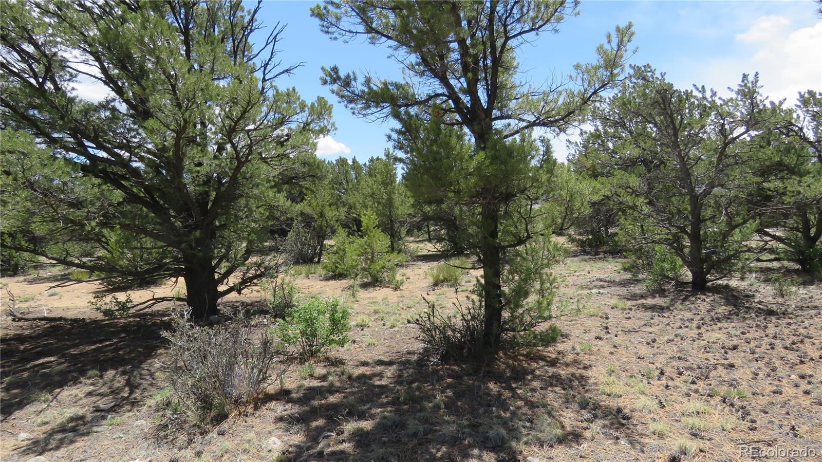 29266 Timber Ridge