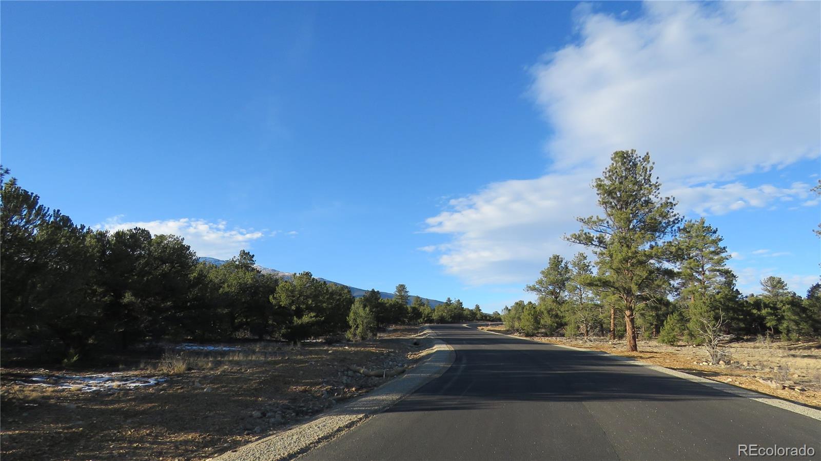29266 Timber Ridge