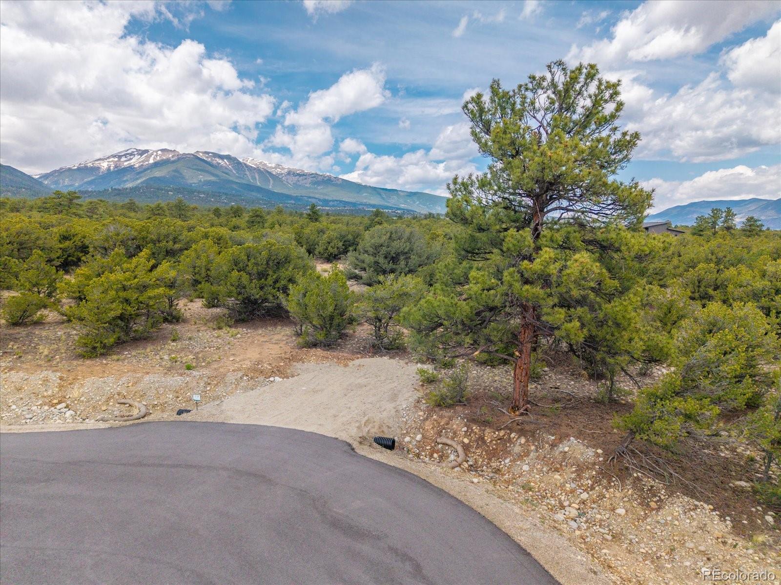 29266 Timber Ridge