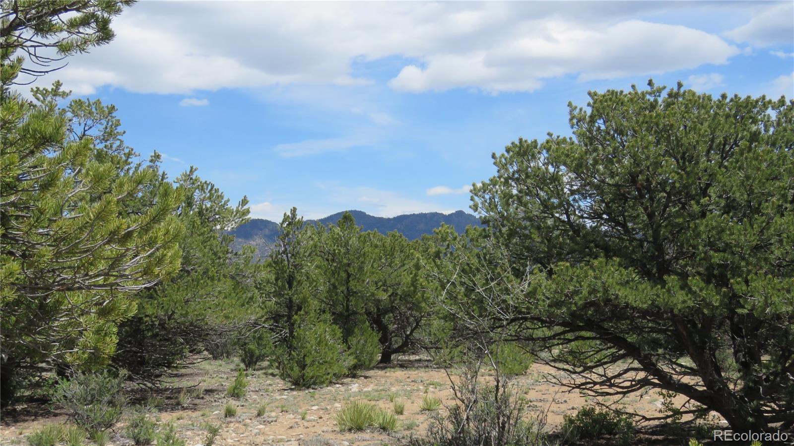 29266 Timber Ridge