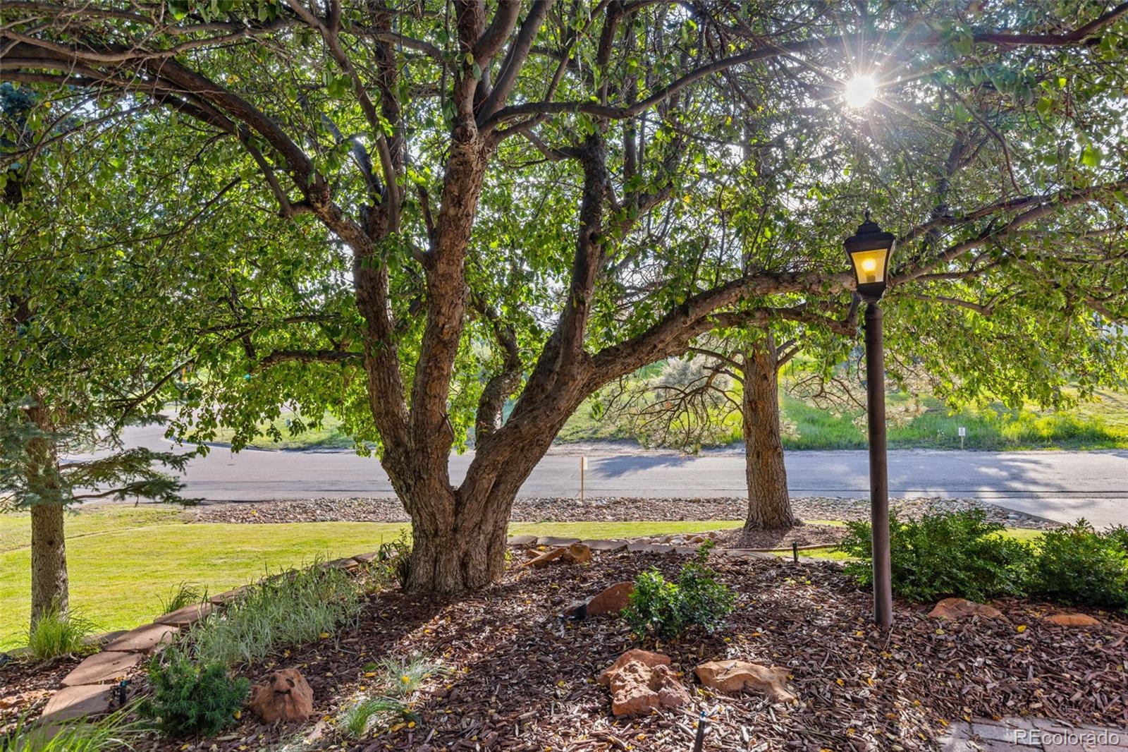 5506 Irish Pat Murphy Drive