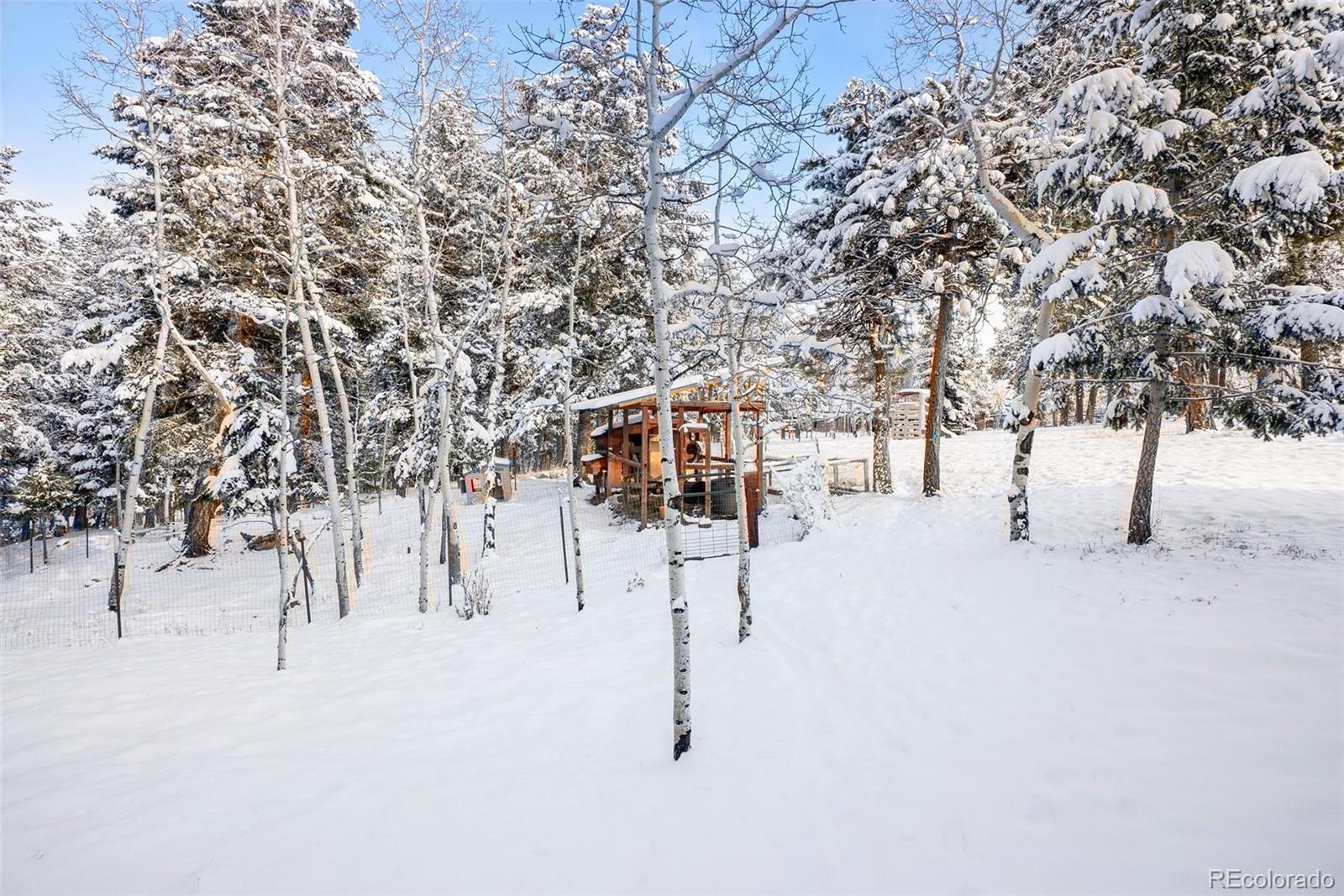 228 Beaver Trail