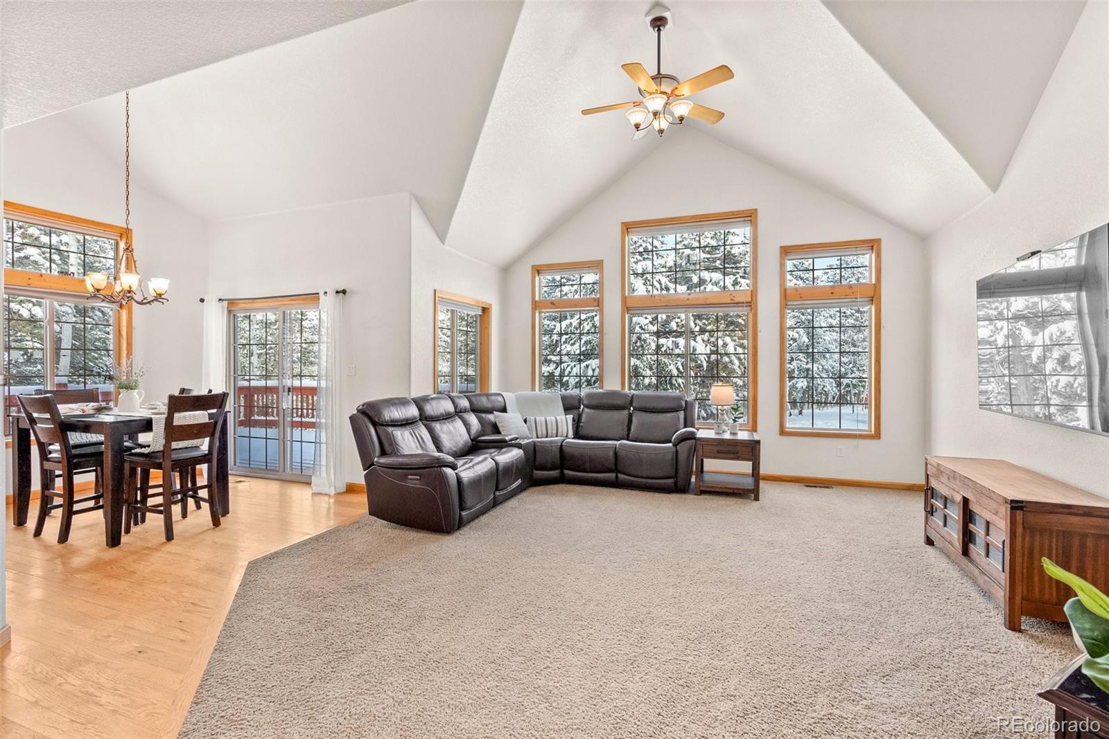 228 Beaver Trail