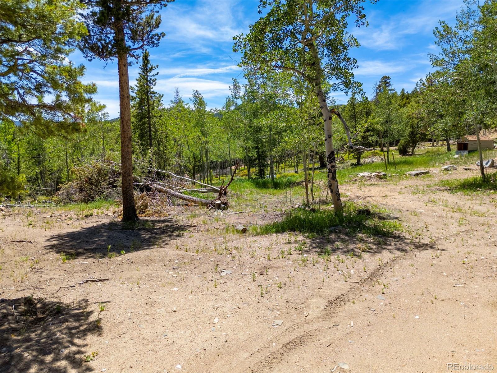 719 Miners Candle Road