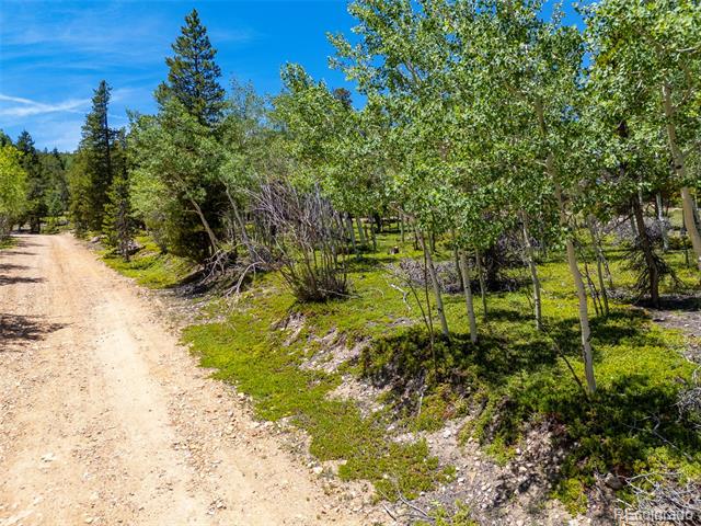 719 Miners Candle Road