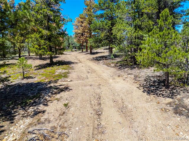 719 Miners Candle Road