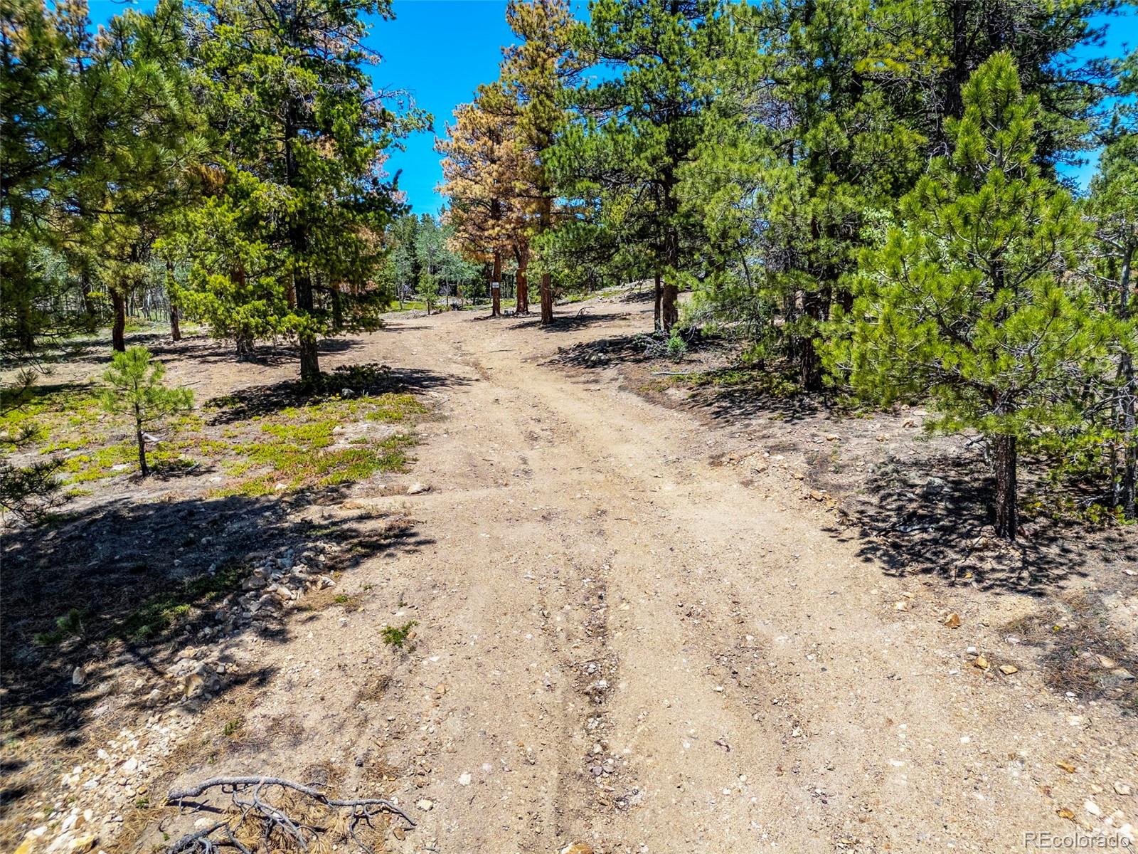 719 Miners Candle Road