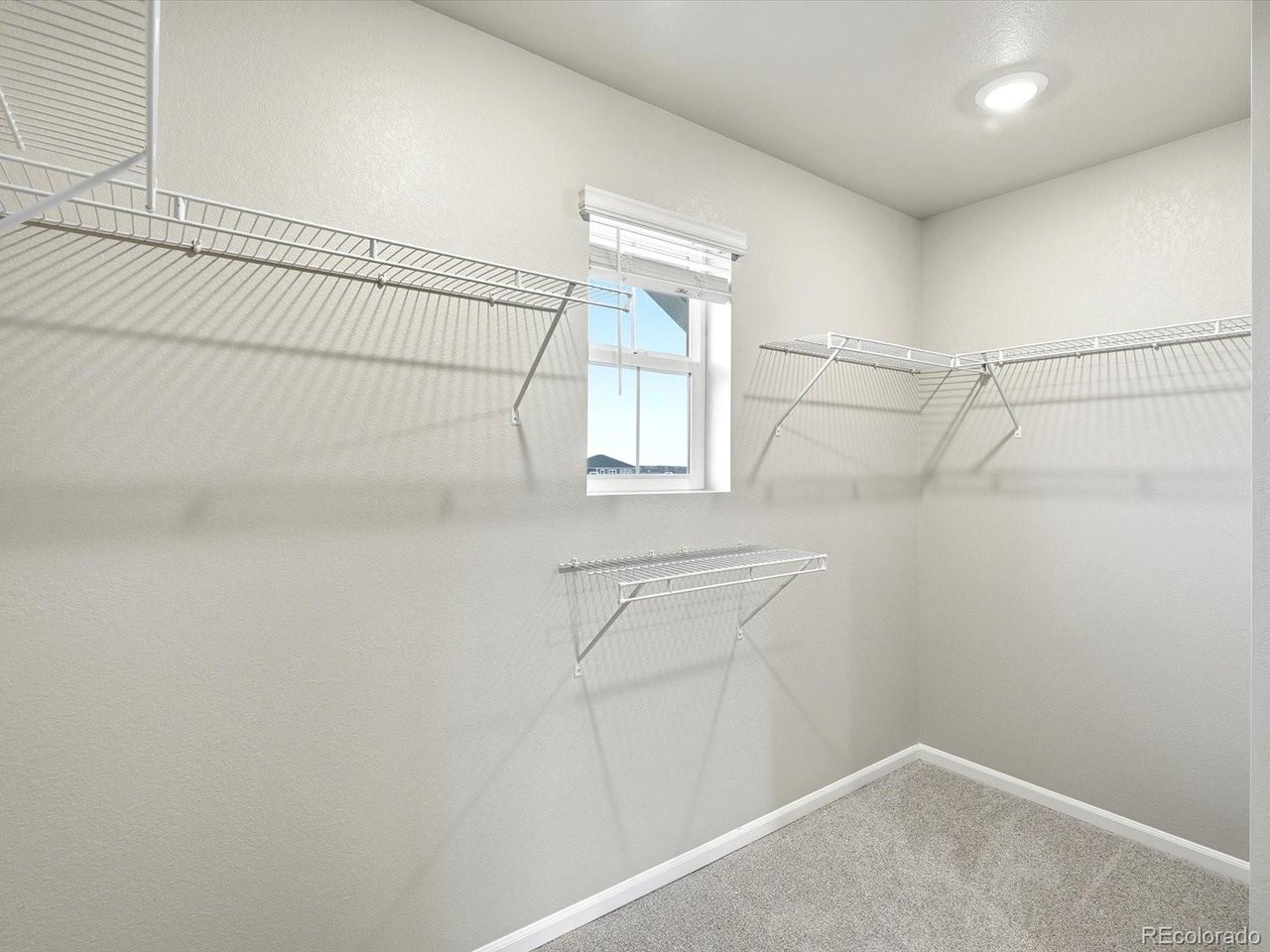 1218 Spring Creek Dr
