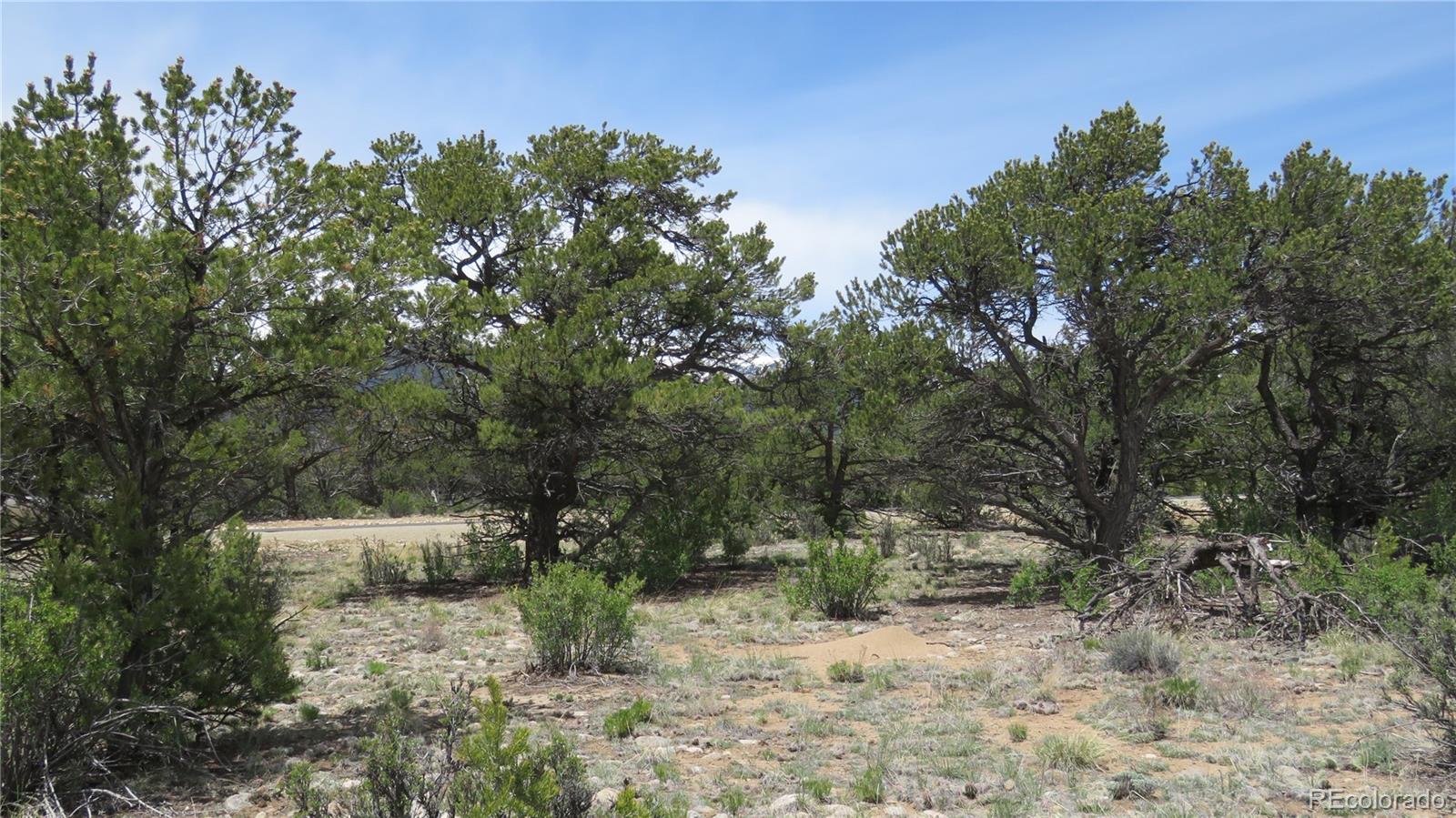28924 Timber Ridge