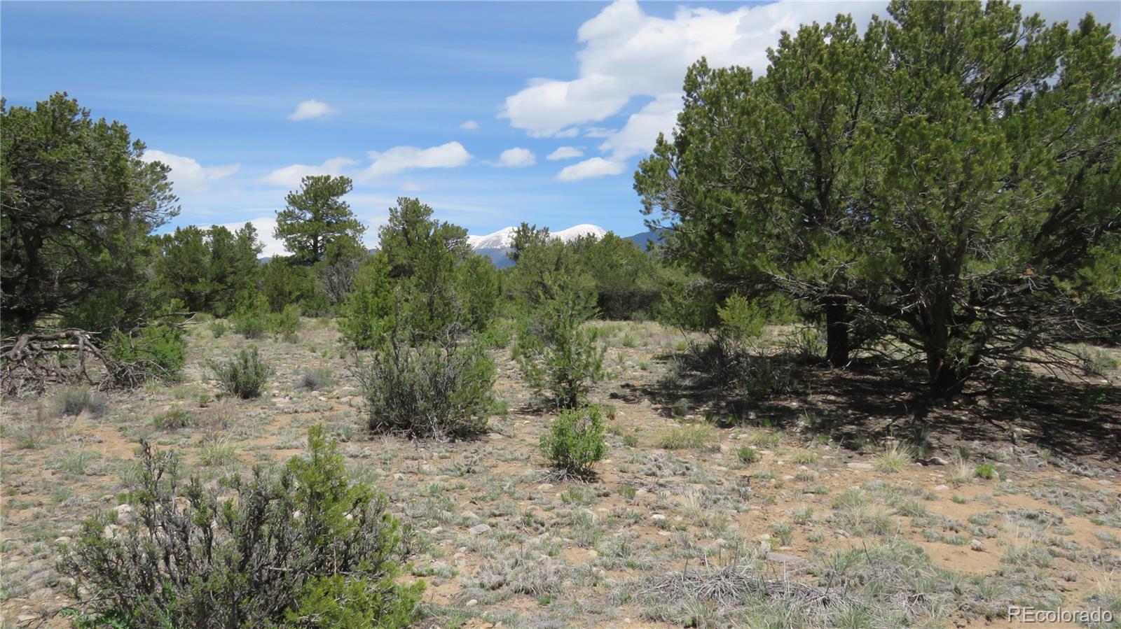 28924 Timber Ridge