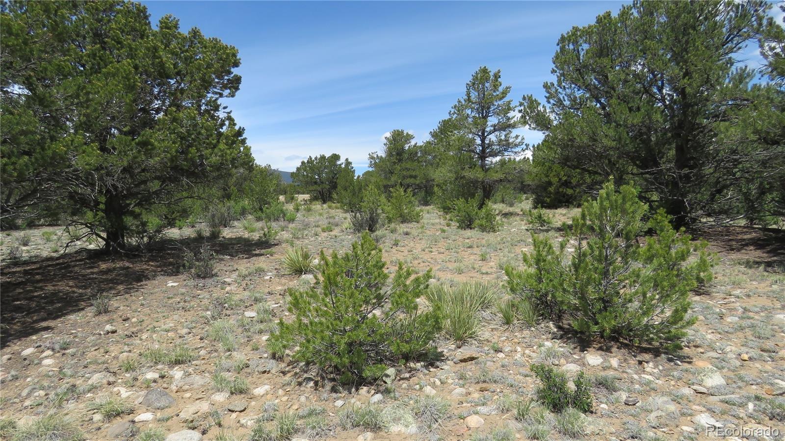 28924 Timber Ridge