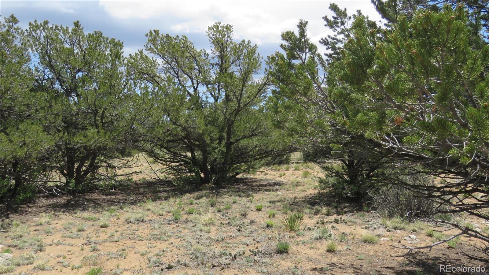 28924 Timber Ridge