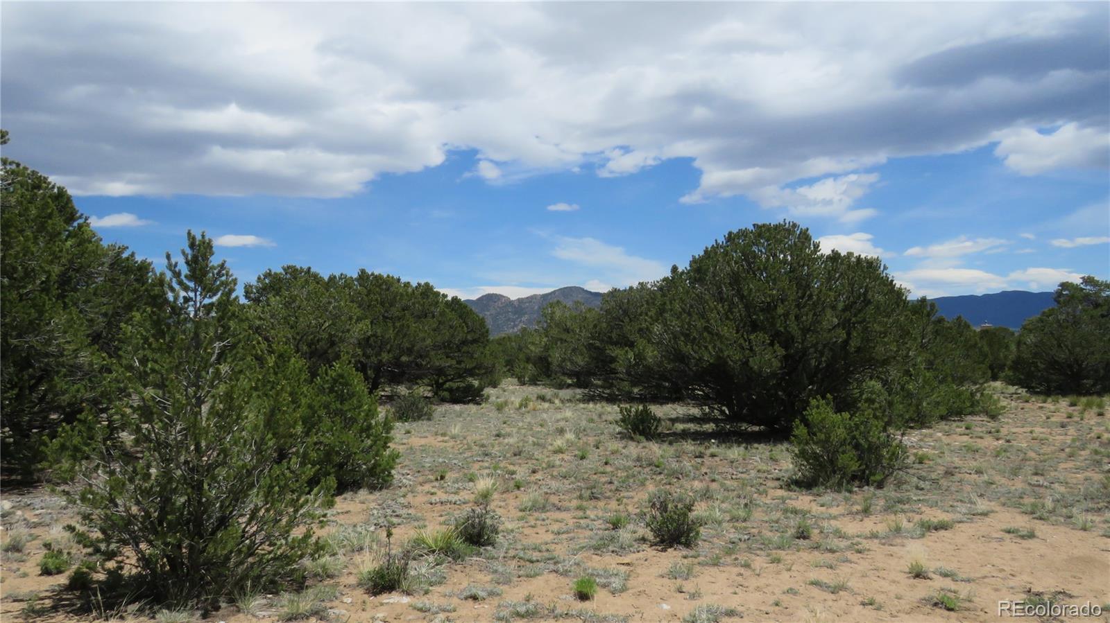 28924 Timber Ridge