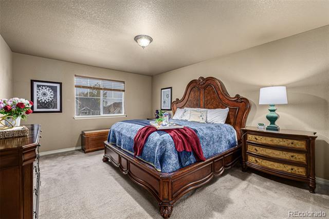5286 Tall Spruce Street