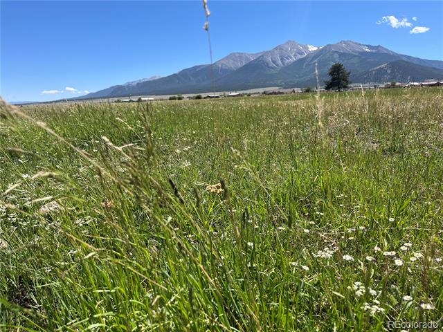 15972 County Road 306