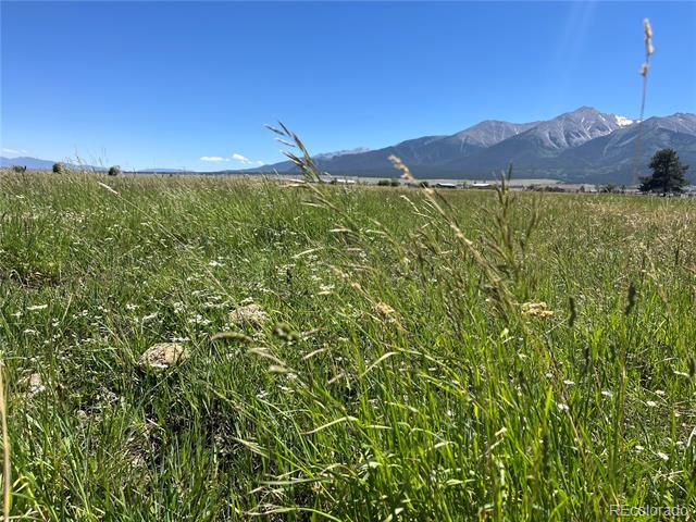 15972 County Road 306
