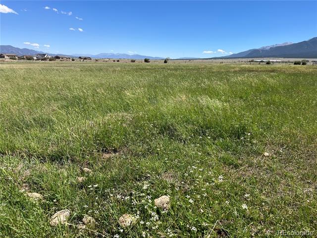 15972 County Road 306