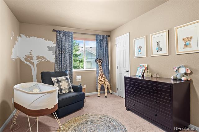 17888 Coral Burst Street