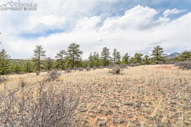26 Landis Ranch Road