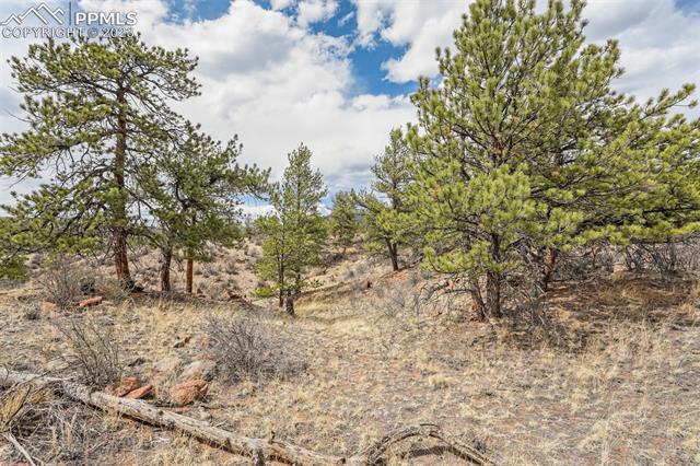 26 Landis Ranch Road