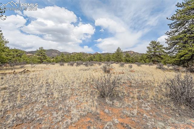 26 Landis Ranch Road