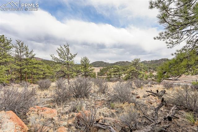 26 Landis Ranch Road
