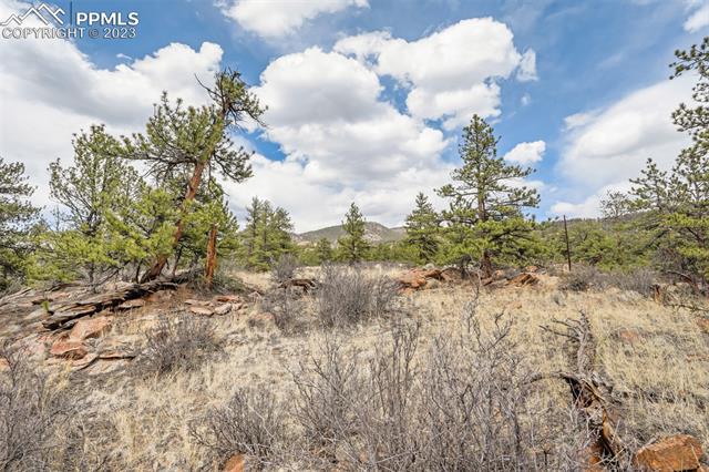 26 Landis Ranch Road
