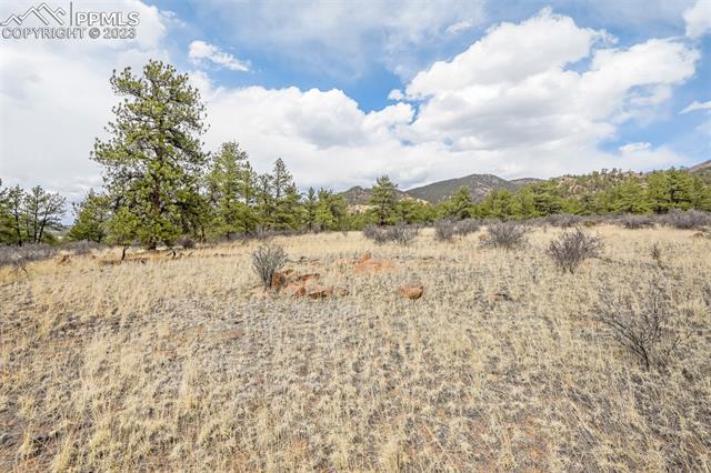 26 Landis Ranch Road