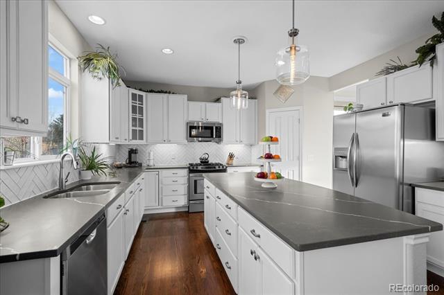 14096 Roaring Fork Circle