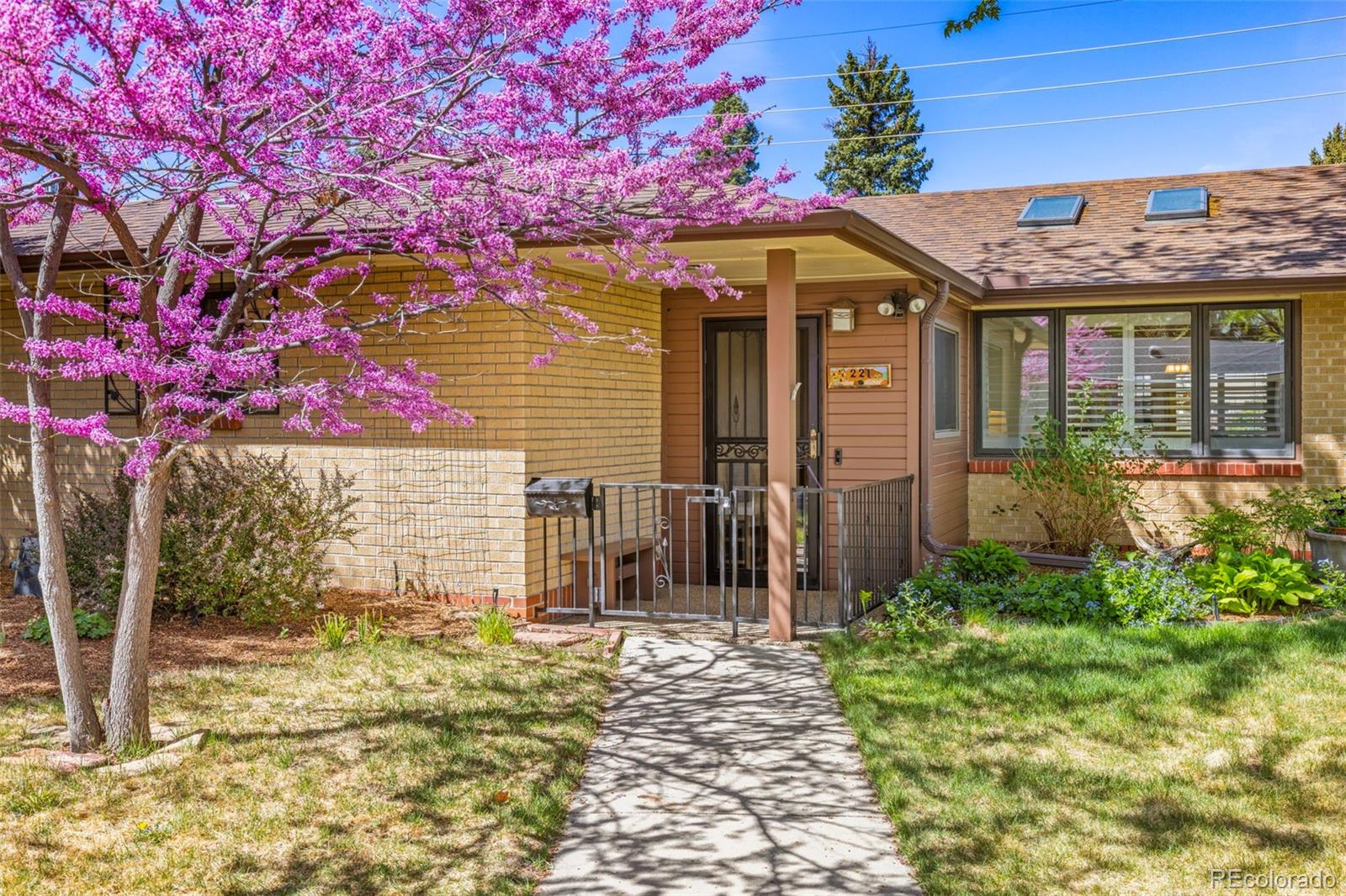 221 Magnolia Street