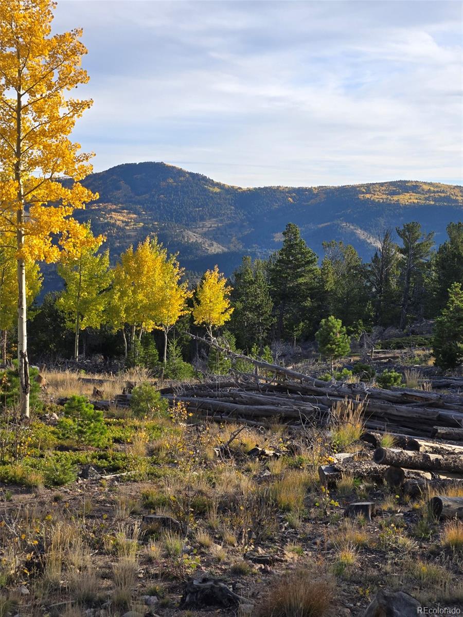 000 Frank C Idaho Springs Co Us 80452 Rec4009474