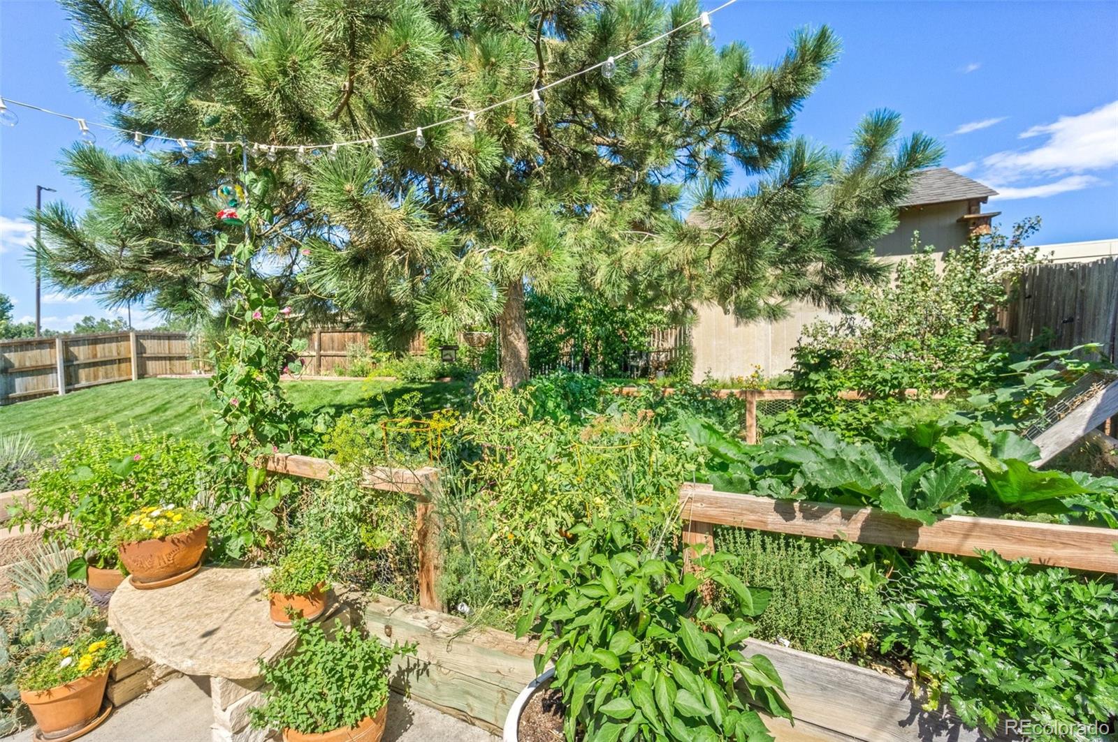 17855 Fringed Sage Way