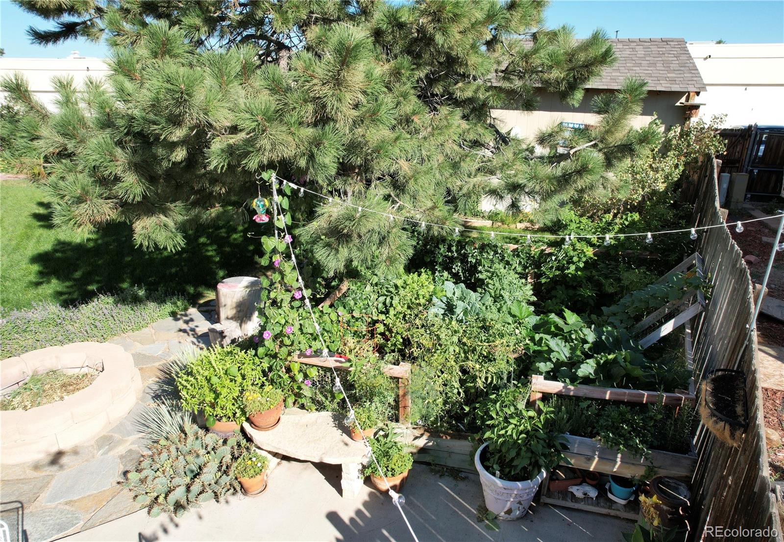17855 Fringed Sage Way