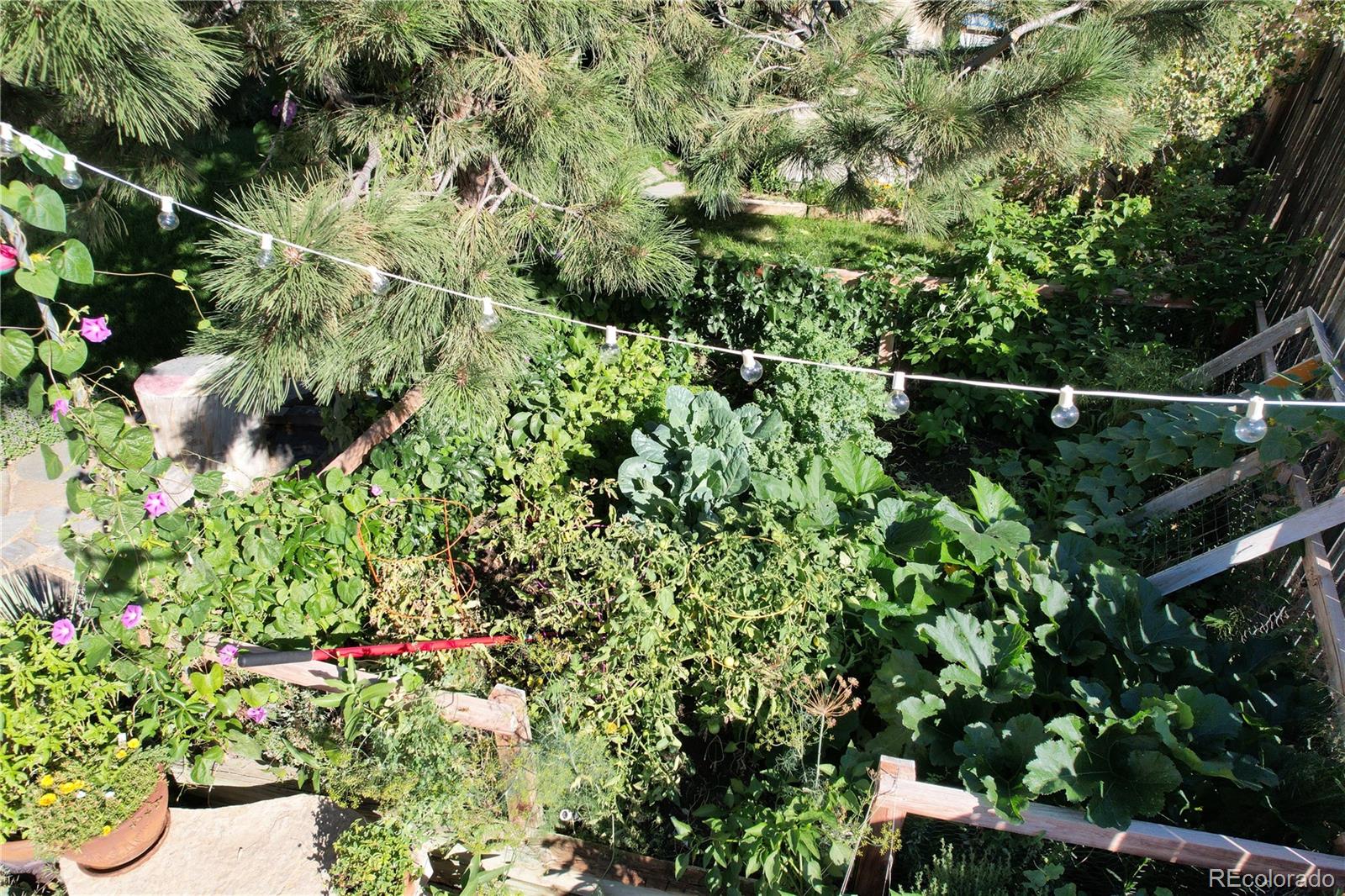 17855 Fringed Sage Way