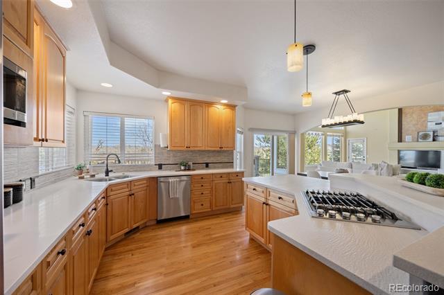 21231 E Saddle Rock Lane