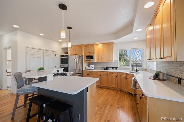 21231 E Saddle Rock Lane