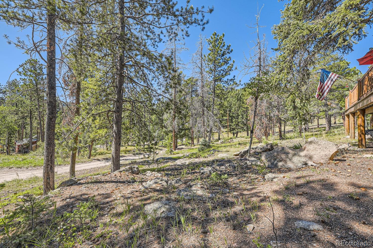10097 Sprucedale Drive