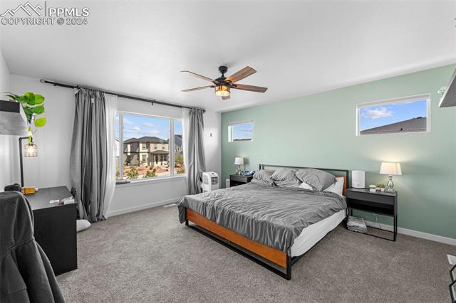 6426 Wolf Gulch Drive