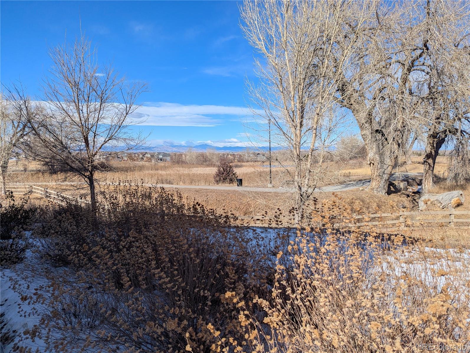 14147 Jackson Street